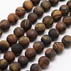 Natural Tiger Eye Beads Strands G-D688-10mm-1