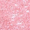 FGB 11/0 Grade A Baking Paint Glass Seed Beads X-SEED-S030-1143-2
