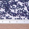 MIYUKI Delica Beads X-SEED-J020-DB0135-4