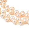 Natural Cultured Freshwater Pearl Beads Strands PEAR-I007-04E-02B-4