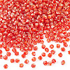 Picasso Baking Paint Glass Seed Beads SEED-TA0001-62H-2