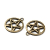 Tibetan Style Alloy Pendants LS-FIND-WH0110-AB-2
