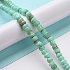 Natural Cultured Freshwater Shell Beads Strands SHEL-F002-01C-2