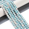 Baking Paint Glass Bead Strands GLAA-H031-01A-10-2