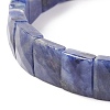 Natural Sodalite Stretch Bracelets BJEW-F406-B10-3