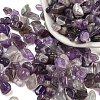 Natural Amethyst Chip Beads X-G-M364-12B-3