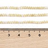 Natural Trochus Shell Beads Strands BSHE-G036-08A-02-4