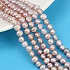 Natural Cultured Freshwater Pearl Beads Strands PEAR-P064-19E-04B-1