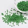 12/0 Opaque Colours Round Glass Seed Beads X-SEED-A010-2mm-47-1
