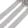 Polyester Hollow Embroidered Lace Trim OCOR-WH0079-13B-1