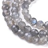 Natural Labradorite Beads Strands X-G-R475-025C-3