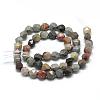 Natural Ocean Jasper Beads Strands G-R448-6mm-11-2