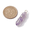 Natural Amethyst Double Terminal Pointed Pendants PALLOY-JF02673-01-3