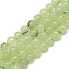 Natural Prehnite Beads Strands X-G-S300-118-6mm-1