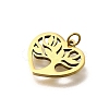 304 Stainless Steel Charms STAS-R153-39G-2