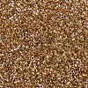 MIYUKI Delica Beads SEED-X0054-DB0901-3