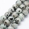 Natural Sesame Jasper/Kiwi Jasper Beads Strands G-I199-29-10mm-1