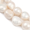 Natural Cultured Freshwater Pearl Beads Strands PEAR-P064-20O-01A-4