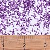 MIYUKI Delica Beads SEED-J020-DB0431-4