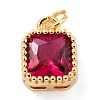 Real 18K Gold Plated Brass Inlaid Cubic Zirconia Charms ZIRC-L100-073G-04-2