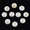 Natural Freshwater Shell Beads SHEL-S278-036R-1