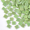 2-Hole Glass Seed Beads SEED-S023-19C-03-1