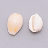 Natural Cowrie Shell Beads SSHEL-WH0001-31-2