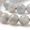 Natural Labradorite Beads Strands X-G-Q961-05-6mm-3