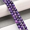Natural Dolomite Beads Strands G-F765-A04-01-2