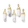 Natural Howlite Pointed Pendants G-G025-01G-43-4