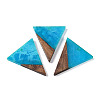 Resin & Wood Pendants WOOD-F015-06F-1