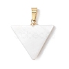 Natural Freshwater Shell Pendants PALLOY-JF05137-01-1