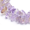 Natural Ametrine Beads Strands G-P332-49B-2