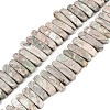 Natural Variscite Beads Strands G-Q616-06E-1
