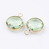 Golden Tone Brass Glass Flat Round Pendants GLAA-M003-E-06G-2