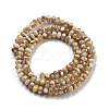 Natural Freshwater Shell Beads Strands BSHE-G038-05-3