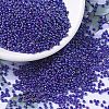 MIYUKI Round Rocailles Beads SEED-G007-RR0484-1