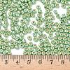 TOHO 6/0 Round Beads X-SEED-TR06-PF0560-4