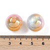 Gradient Color Resin Beads RESI-P042-01A-05-3