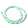 Natural Freshwater Shell Beads Strands SSHEL-C013-07D-2