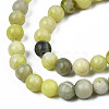 Natural Yellow Mustard Jasper Beads Strands X-G-Q462-6mm-39-4