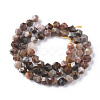 Natural Petrified Wood Beads Strands G-F668-02-6mm-2