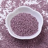 MIYUKI Delica Beads Small X-SEED-J020-DBS0253-2