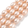Natural Cultured Freshwater Pearl Beads Strands PEAR-P062-10G-2