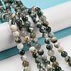 Natural Tree Agate Round Gemstone Beads Strands X-G-R255-6mm-4