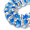 Lampwork Beads Strands LAMP-E036-07D-3