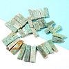 Natural Amazonite Beads Strands G-L551B-11-2