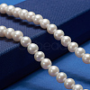 Natural Cultured Freshwater PearlBeads Strands PEAR-E002-04-01-5