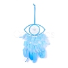Handmade Eye Woven Net/Web with Feather Wall Hanging Decoration HJEW-K035-04A-2