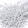 TOHO Round Seed Beads X-SEED-TR08-0767-1